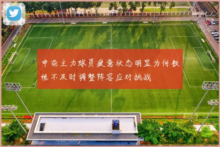 申花主力球员疲惫状态明显为何教练不及时调整阵容应对挑战