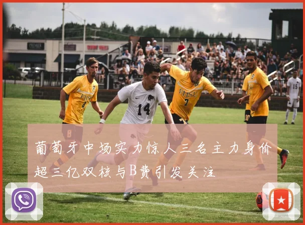 葡萄牙中场实力惊人三名主力身价超三亿双核与B费引发关注